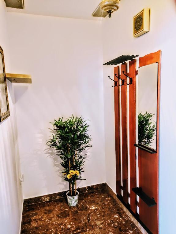 Apartmani Mila A1 & A2 & 3 Trogir Exteriér fotografie